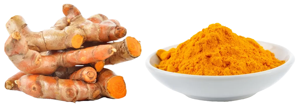 curcumin 95% turmeric powder in bowl