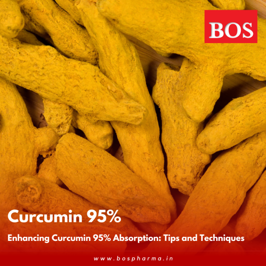 High-quality turmeric powder from leading curcumin supplier for bulk purchase.