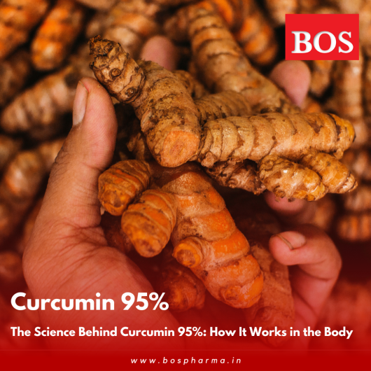 curcumin 95% turmeric powder blog on science behind curcumin